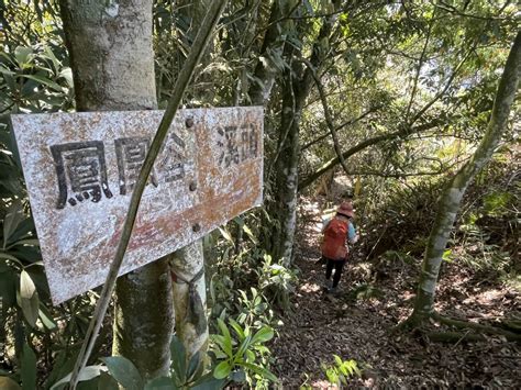 台寅山|台寅山